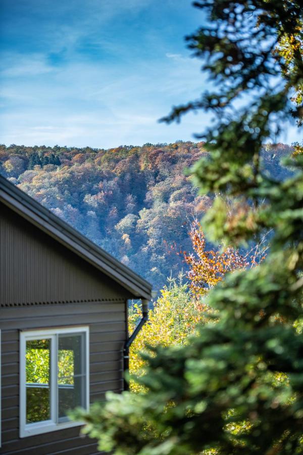Le Chalet Vresse-sur-Semois Buitenkant foto